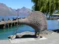 Queenstown Kiwi 2